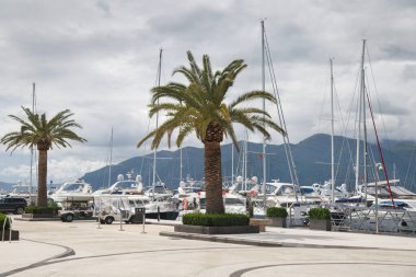 Karadağ 'ın Tivat kentinin setin manzarası.