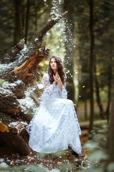 Hermosa chica en un bosque místico — Foto de Stock