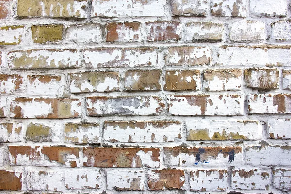 Brick wall — Stock Photo, Image