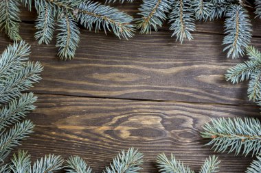 Noel ağacının yeşil dalları