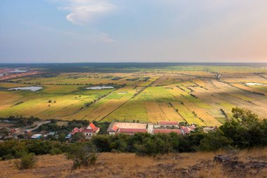 Pirinç tarlasında güzel güneş ışığı