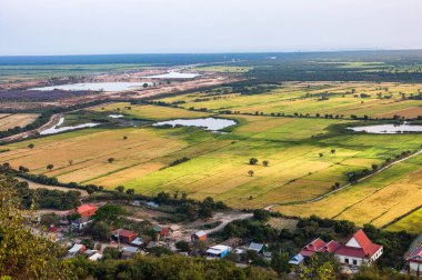 Dağ manzaralı pirinç tarlası. 