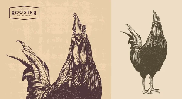 Rooster line art — Stock Vector