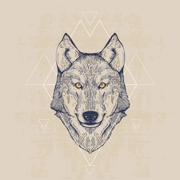 Wolf head, vintage hand drawn illustration — Stock Vector