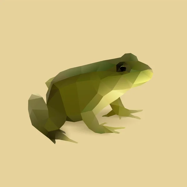 Green frog, polygon illustration — Stock Vector