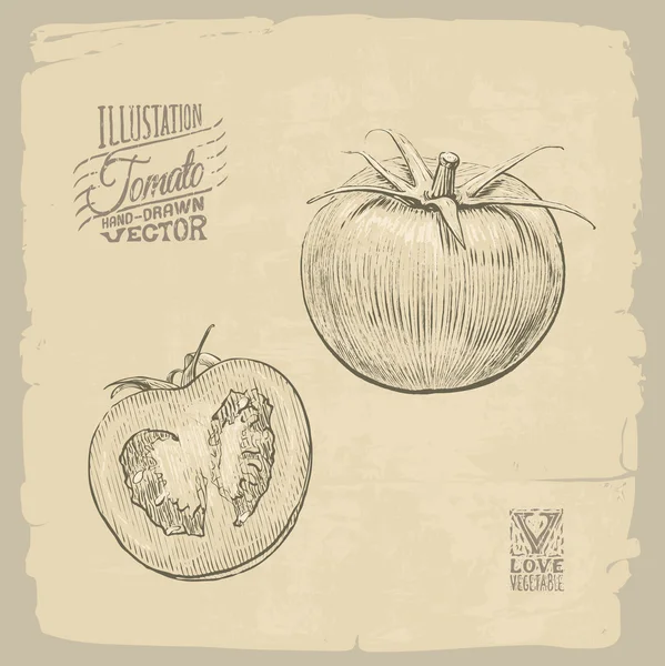 Ilustración de tomate — Archivo Imágenes Vectoriales