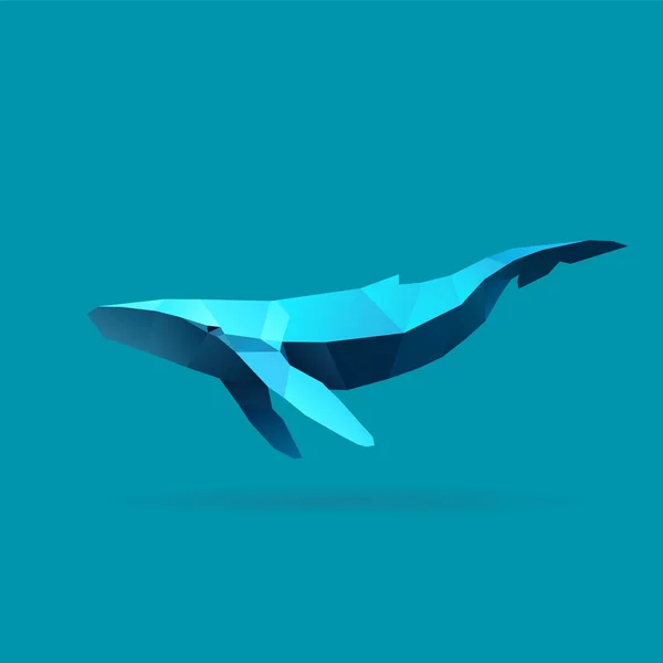 Walvis — Stockvector