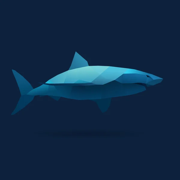 Tiburón — Vector de stock