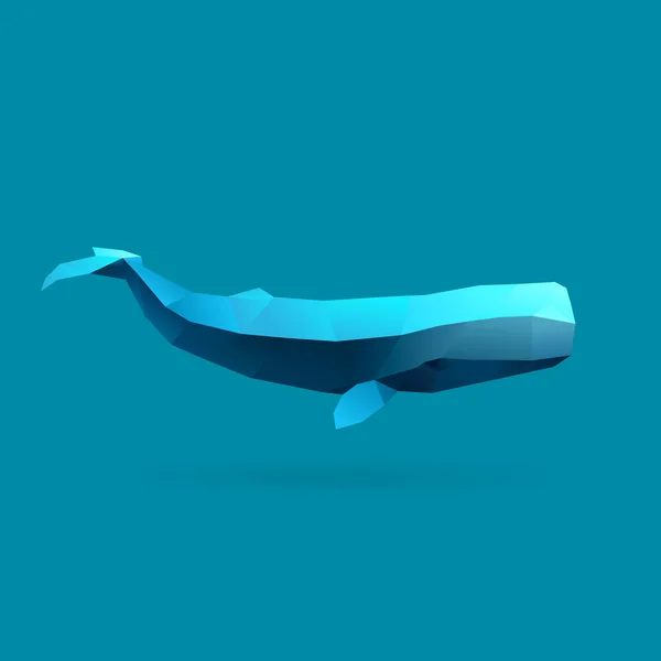 Ballena Esperma — Vector de stock