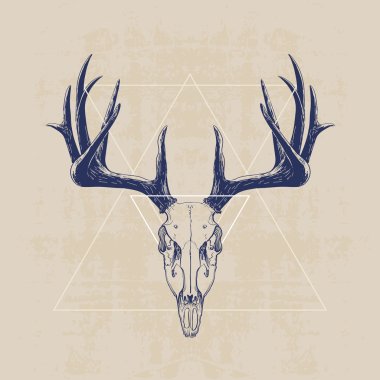 deer skull