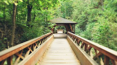 ahşap köprü manzara