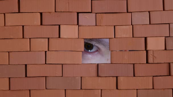 Misstänkt Person Som Tittar Genom Hålet Tegelväggen Begreppet Spioneri Kikning — Stockvideo