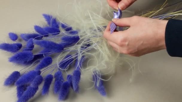 Herstellung Eines Getrockneten Blumenstraußes Aus Lagurus Grass Lavendelfarbe Ein Bündel — Stockvideo