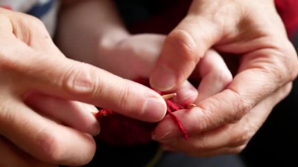 おばあちゃんは孫に編むように教えている 年配の女性や孫の手が針で編んでいる 技能の移転 — ストック動画