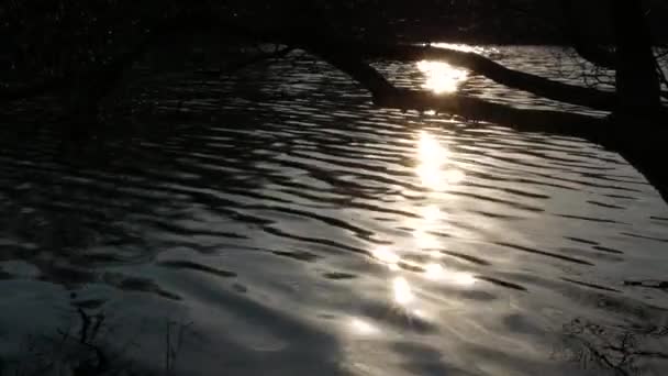 水の上に太陽光のプラッシュ 絵のような風景 — ストック動画