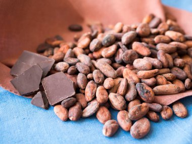 Çiğ kakao fasulyesi ve çikolata. Doğal antidepresan ve süper yiyecek.