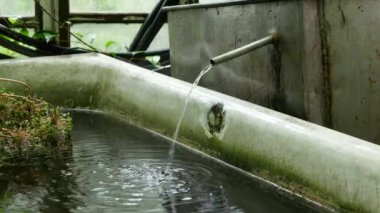 Yağmur suyu, ileride kullanmak için büyük bir konteynırda toplanıyor. Yağmur suyu toplama sistemi. Su tasarrufu. Su toplanıyor