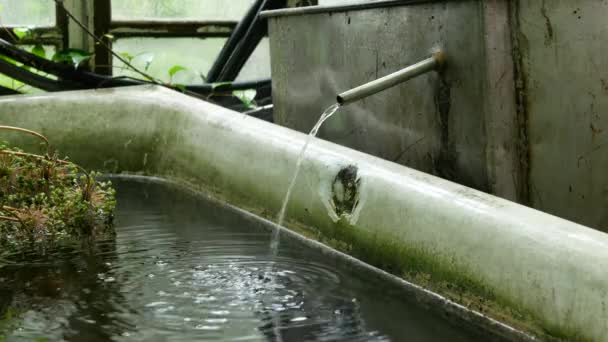 Zbieranie Wody Deszczowej Dużym Pojemniku Wykorzystania Przyszłości System Zbierania Wody — Wideo stockowe
