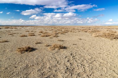 Küresel ısınma yüzünden göl kurudu. Seyfe Gölü, Türkiye.