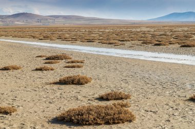 Küresel ısınma yüzünden göl kurudu. Seyfe Gölü, Türkiye.