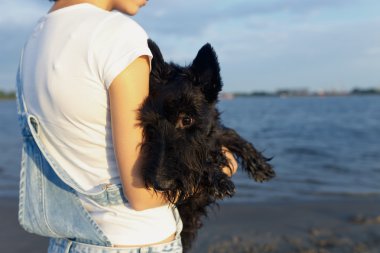 Sahilde esmer seyahatleri