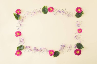 Bej arkaplanda bahar çiçekleriyle yapılmış çerçeve. Doğa ve Anneler Günü konsepti. Minimum düzlük..