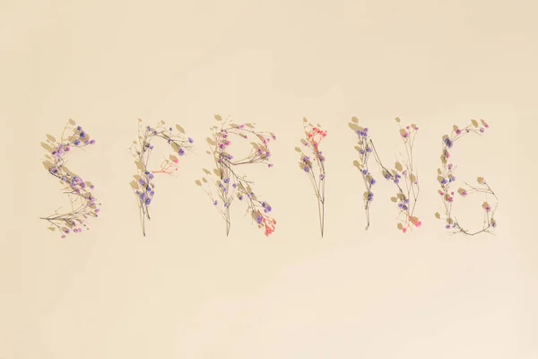 春という言葉は サハラ色に対して小さな開花花で書かれています — ストック写真