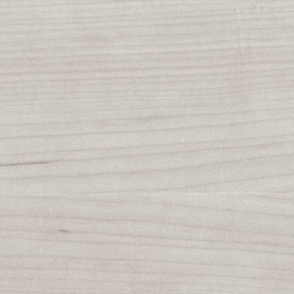 Klon naturalny tekstura drewna — Zdjęcie stockowe