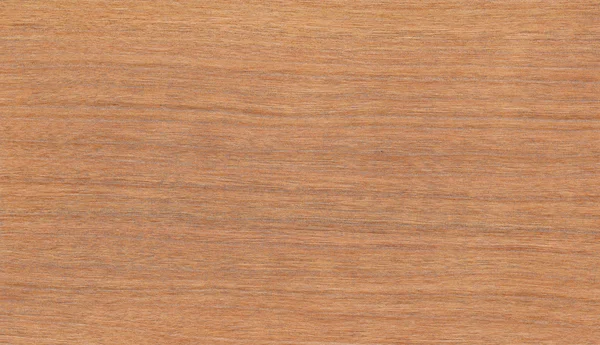 Natural cherry wood texture — Stock Photo, Image