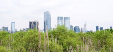 parkta gökdelen manzarası