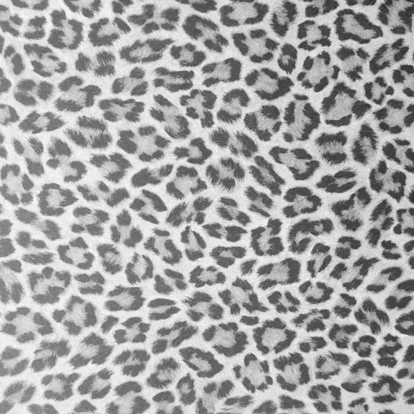 Leopard skin texture or background