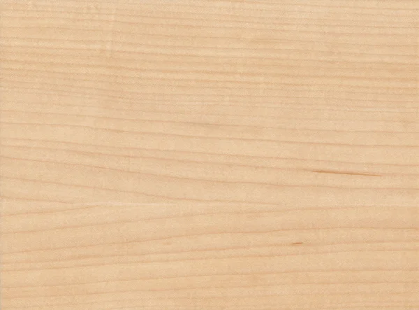 Textura natural de madeira de bordo — Fotografia de Stock