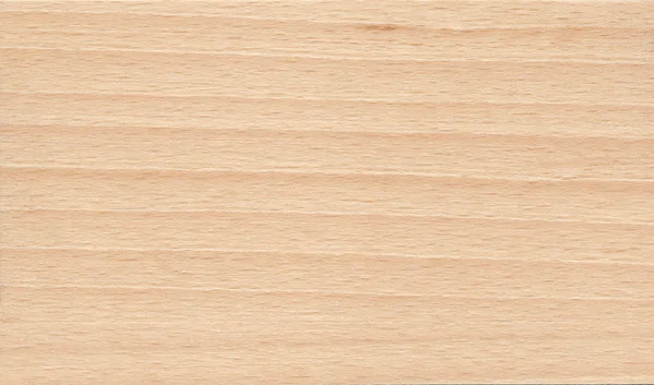 Natural beech wood texture — Stock Photo, Image
