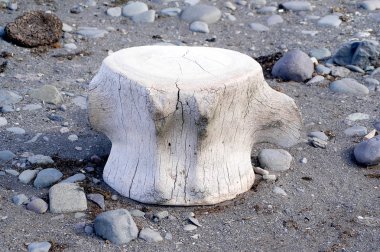 sealine tarafından leş dinlenme