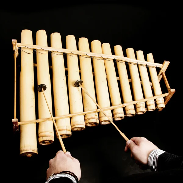 Traditional wooden xylophone — Stock Photo, Image