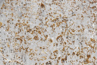 Taş dokusu veya arkaplan