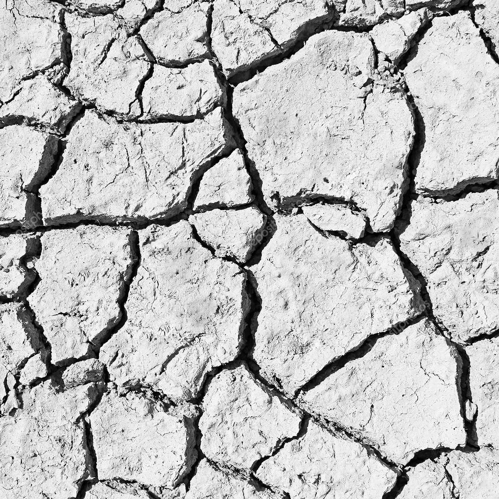 white cracked earth. Dry soil texture