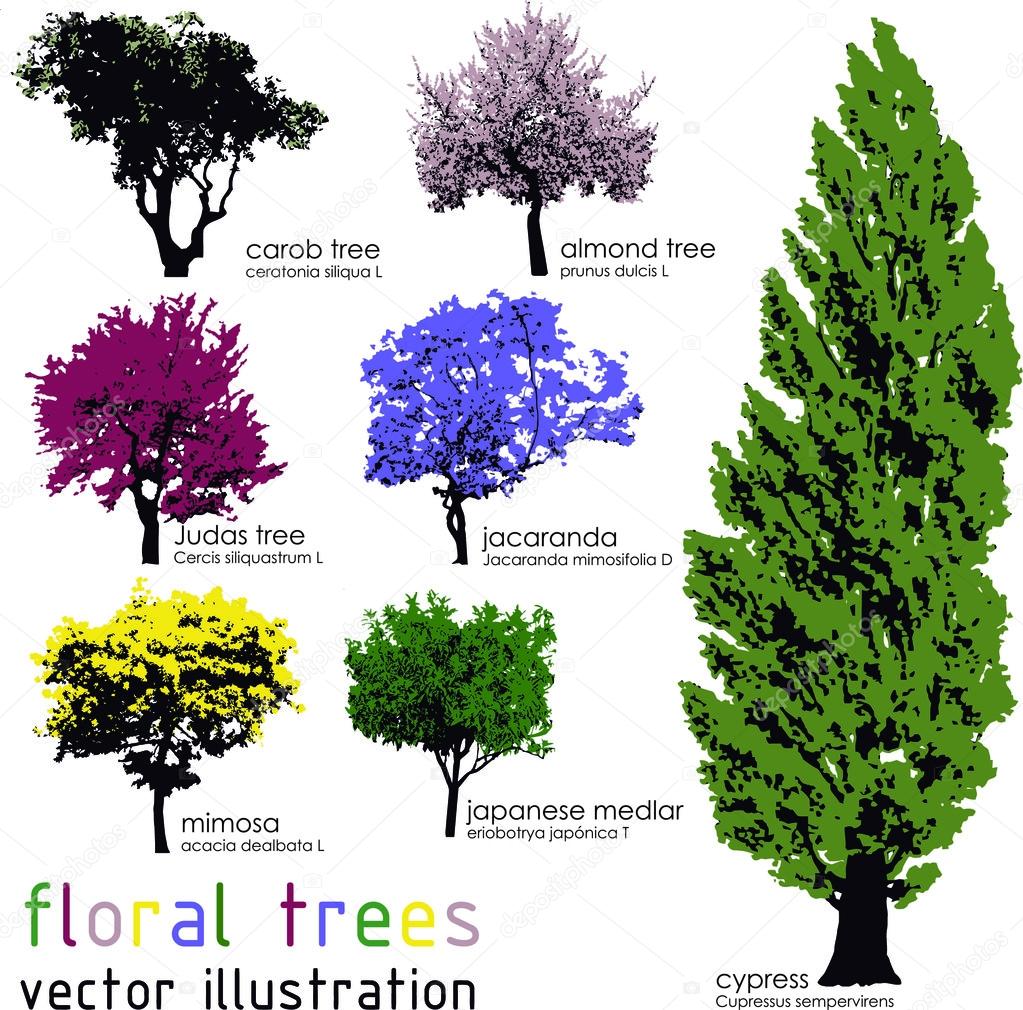 Set of floral trees silhouettes. Vector illustration