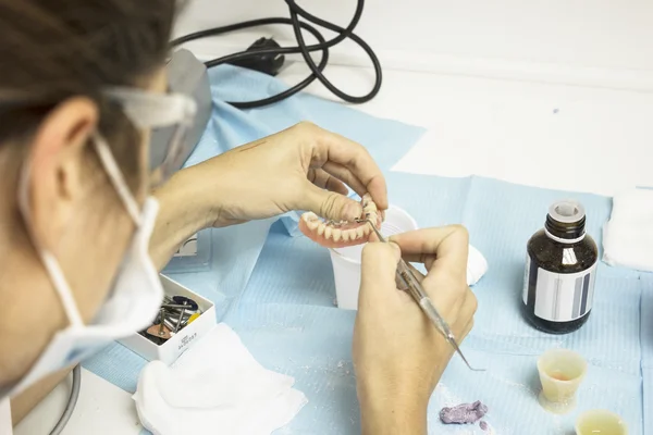 Dentista trabalhando em modelo odontológico — Fotografia de Stock