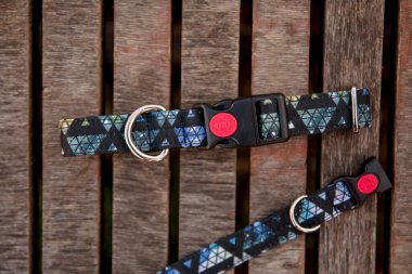 Köpek tasması ve tasma hazır. Hayvan Malzemeleri ve Yürüyen Vites Koleksiyonu