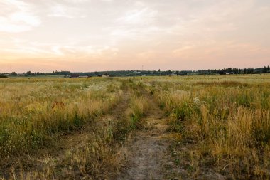 Idyllic kırsal kesim. Yazın sonunda. Sarı alan