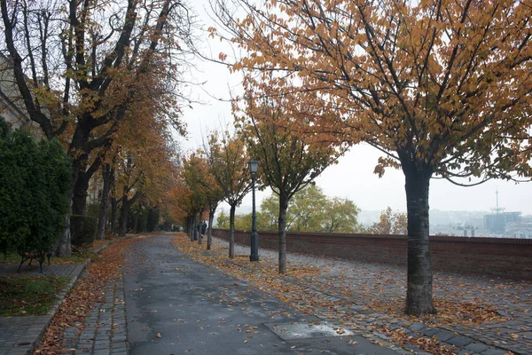 Caminhada Urbana Longo Rio Budapeste Outono — Fotografia de Stock