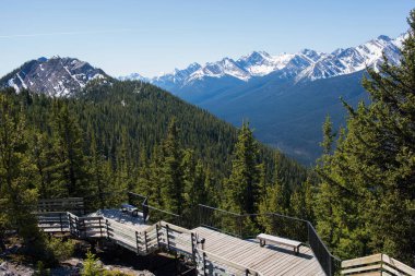 Rocky Dağları manzaralı ahşap patika. Banff Ulusal Parkı, Alberta, Kanada