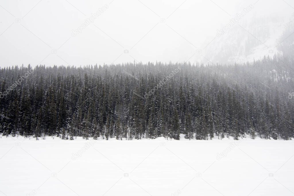 Beautiful winter landscape. A heavy snow storm over a forest. Banff National Park, Alberta, Canada