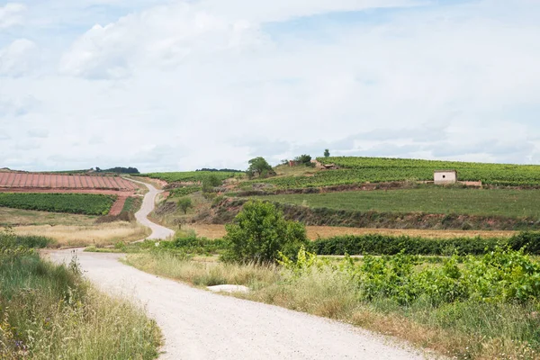 Hermoso Paisaje Alrededor Del Camino Camino Primavera Rioja España Europa — Foto de Stock