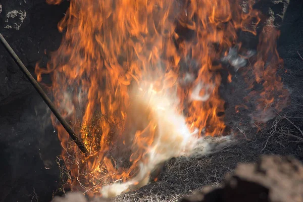 Volkanik bir alanda yangın. Lanzarote, Kanarya Adaları, İspanya, Avrupa.