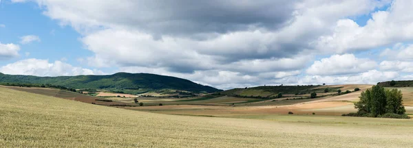 夏の曇りの日に美しい田園風景 遠くの作物 丘や森 リオハ スペイン ヨーロッパ — ストック写真