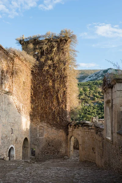 Antike Ruinen Mit Einem Turm Voller Weinreben Santa Maria Rioseco — Stockfoto