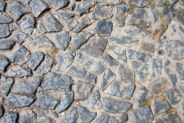 Steinpflasterbeschaffenheit Mit Kleinen Pflanzen Die Zwischen Ihnen Wachsen Portugal — Stockfoto