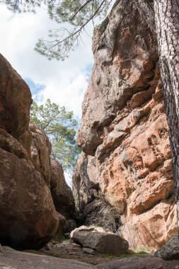 Pinares de Rodeno 'da taş resimleri. İspanya, Teruel yakınlarındaki tarih öncesi mağara resimleri. Avrupa